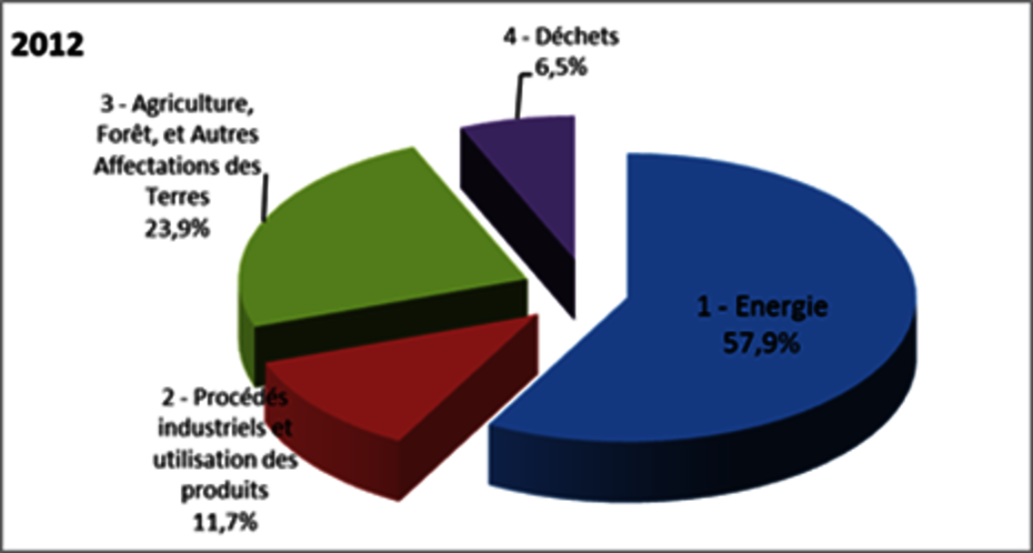 Répartition des émissions brutes de GES directs de la Tunisie par source en 2012 (%)